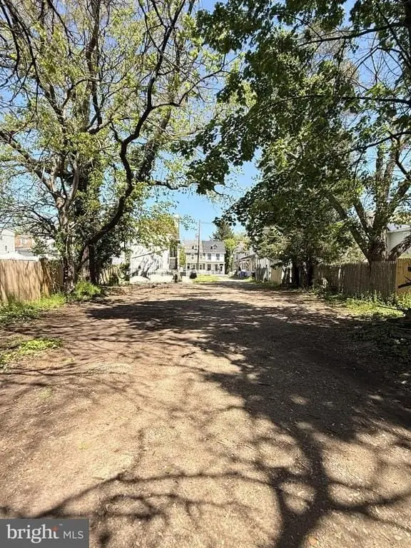 Picture 19