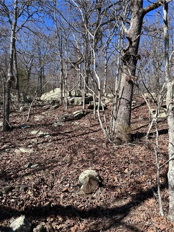 Picture 19