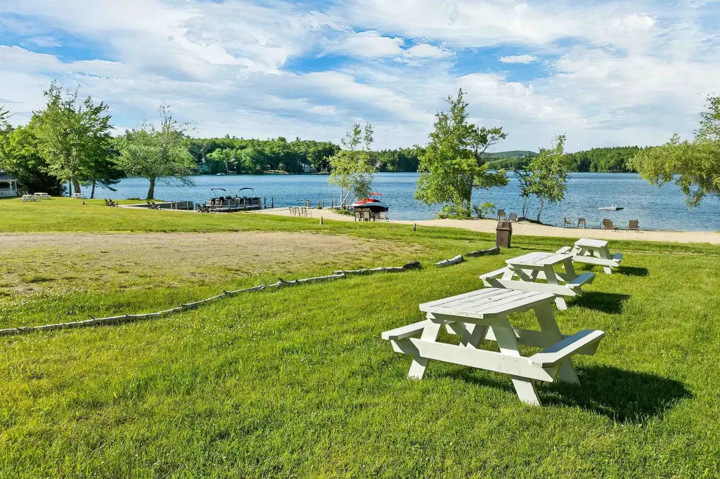 Picture 16