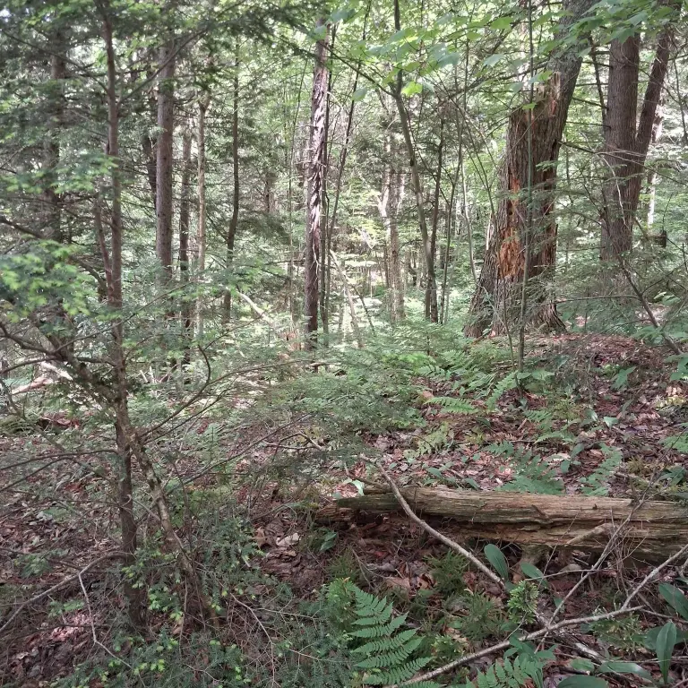 Picture 4