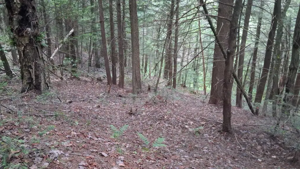 Picture 2