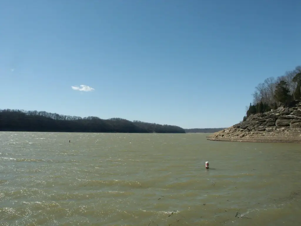 Picture 14