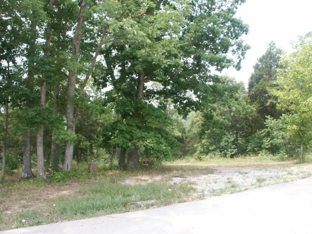 Picture 15