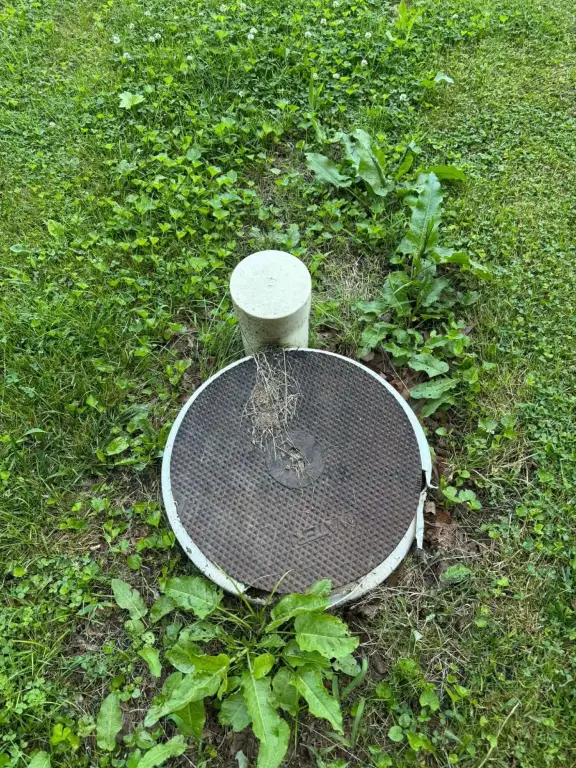 Picture 3