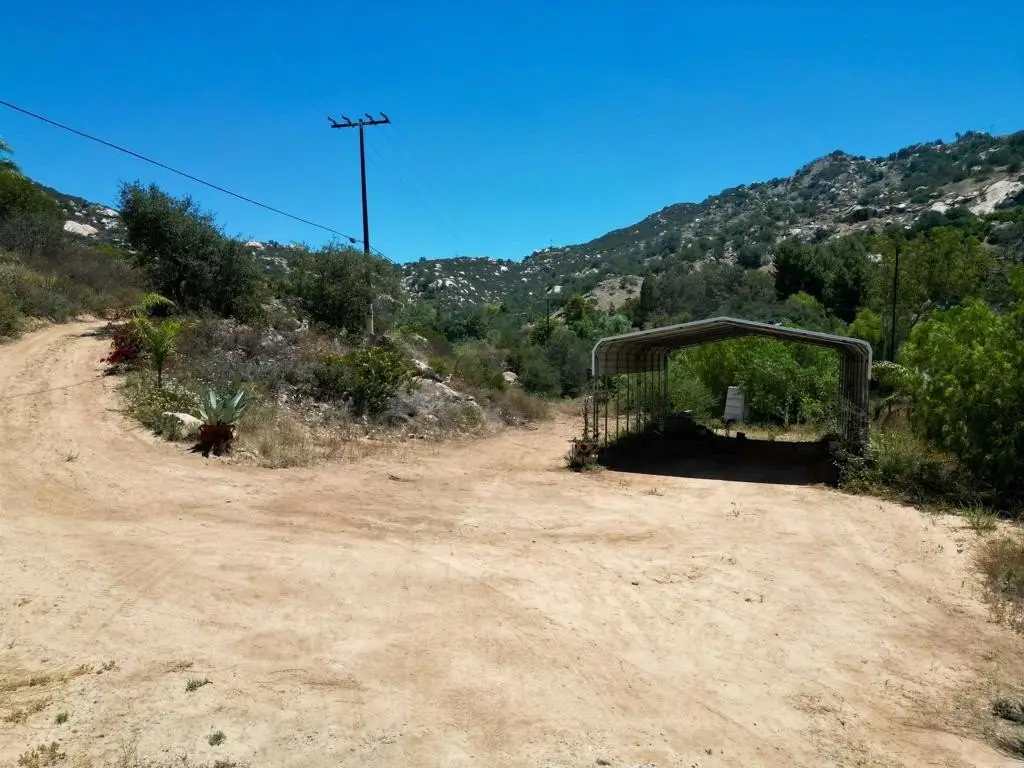 Picture 14