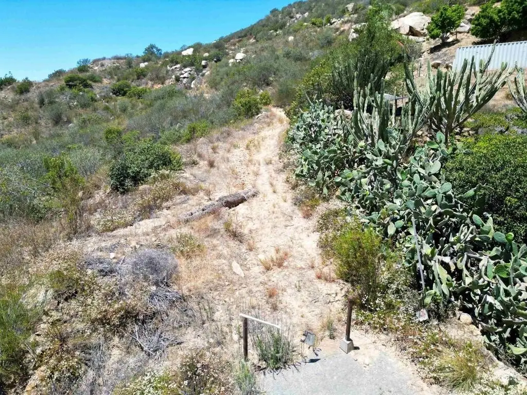 Picture 21