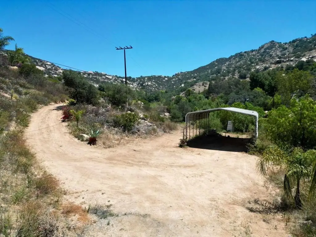 Picture 5
