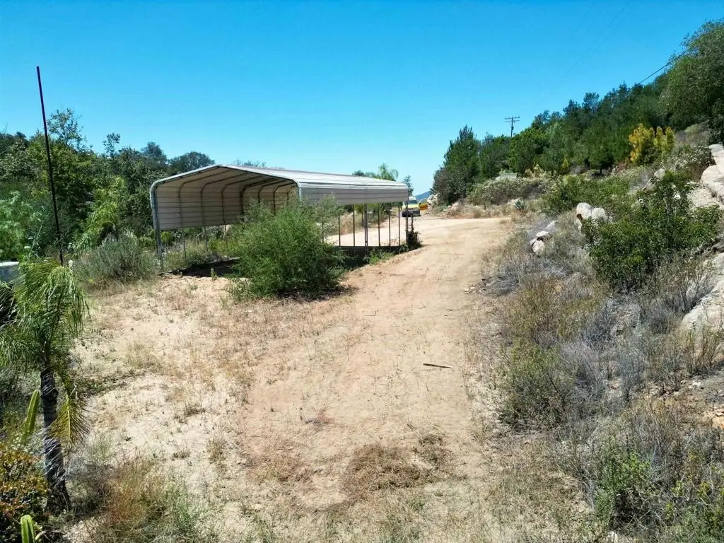 Picture 26