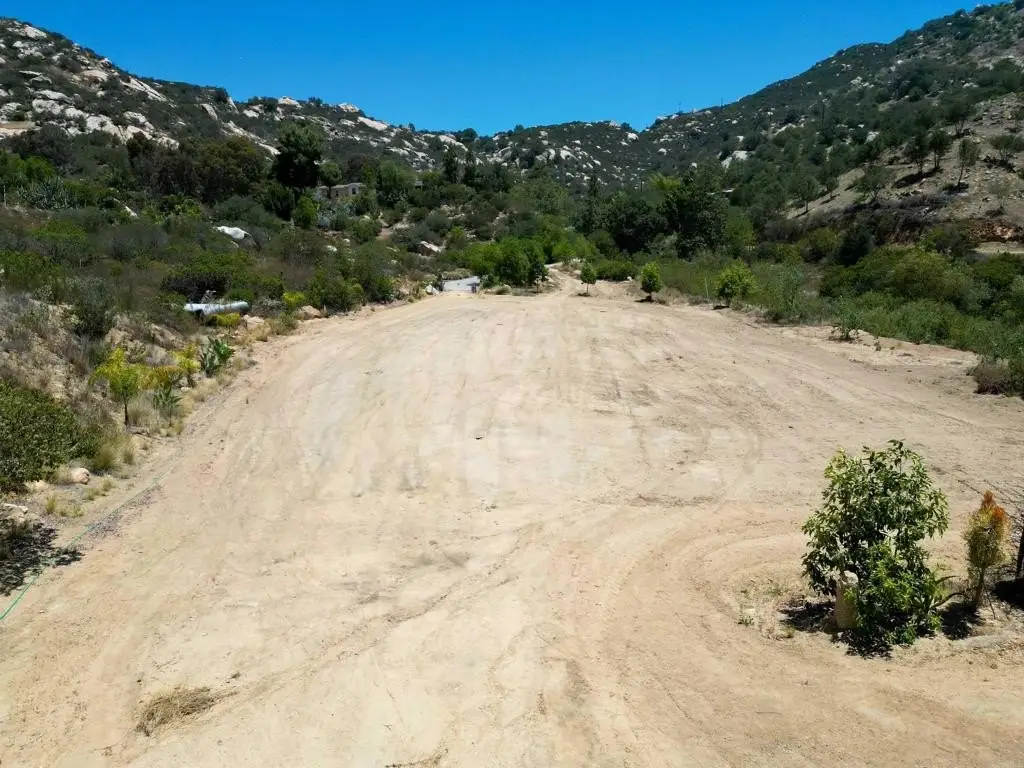 Picture 2
