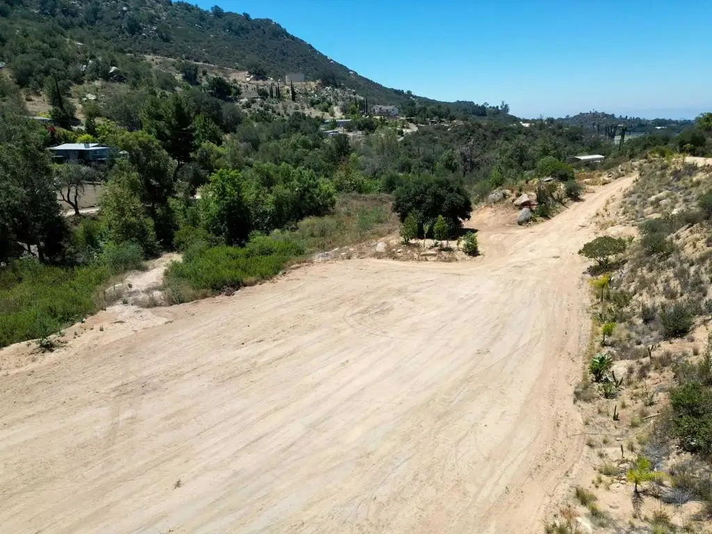 Picture 8