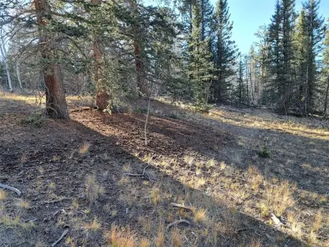 Three Acre Mountain Adventure Lot