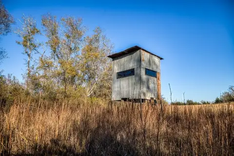 Texas Rural Acreage For Sale