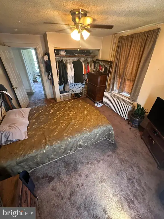 Picture 15