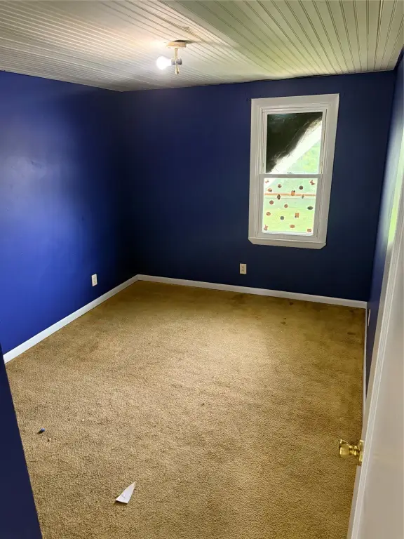 Picture 41