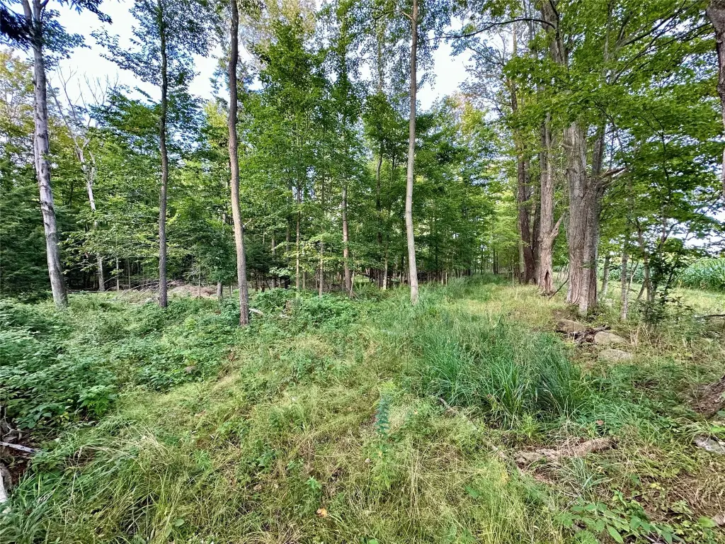 Picture 6
