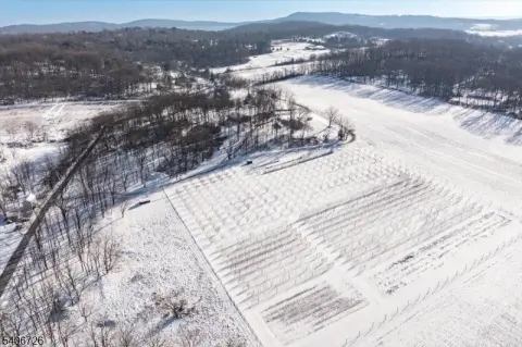 Preserved Farmland with Orchard Potential