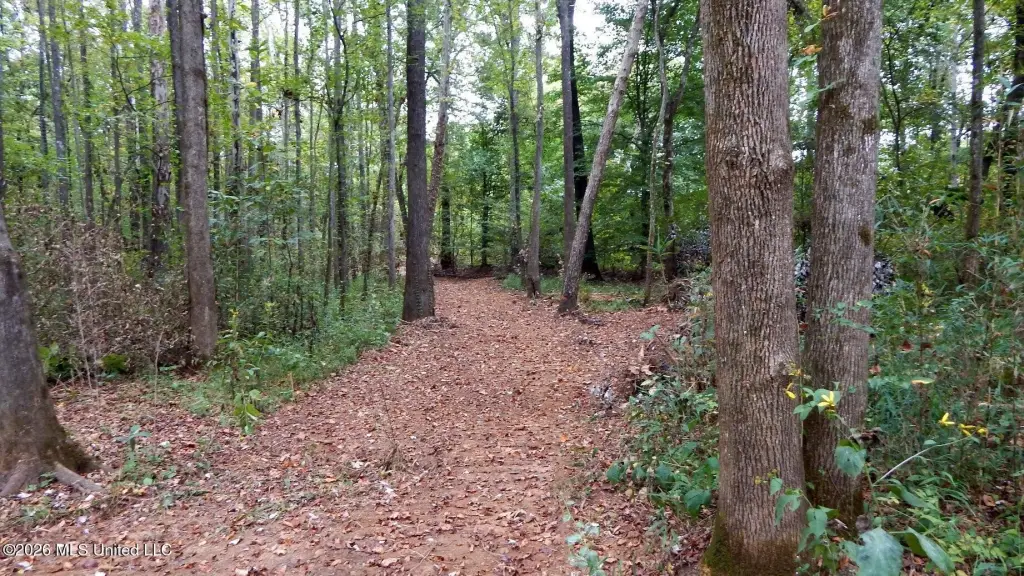 Picture 13