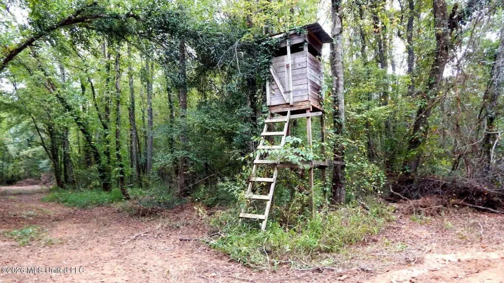 Picture 24