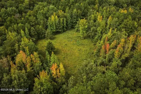 900-Acre Hunting Land with River Frontage