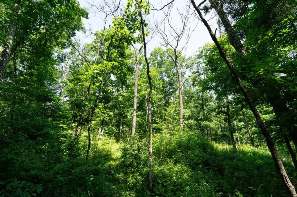 Picture 18