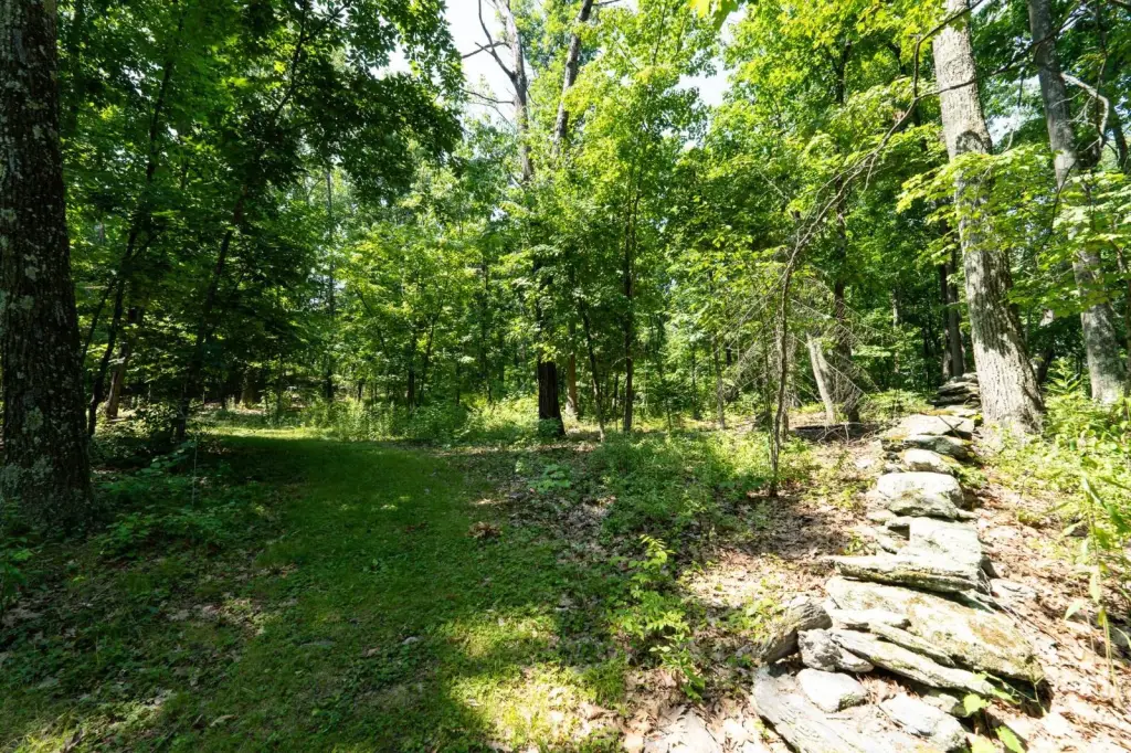 Picture 25