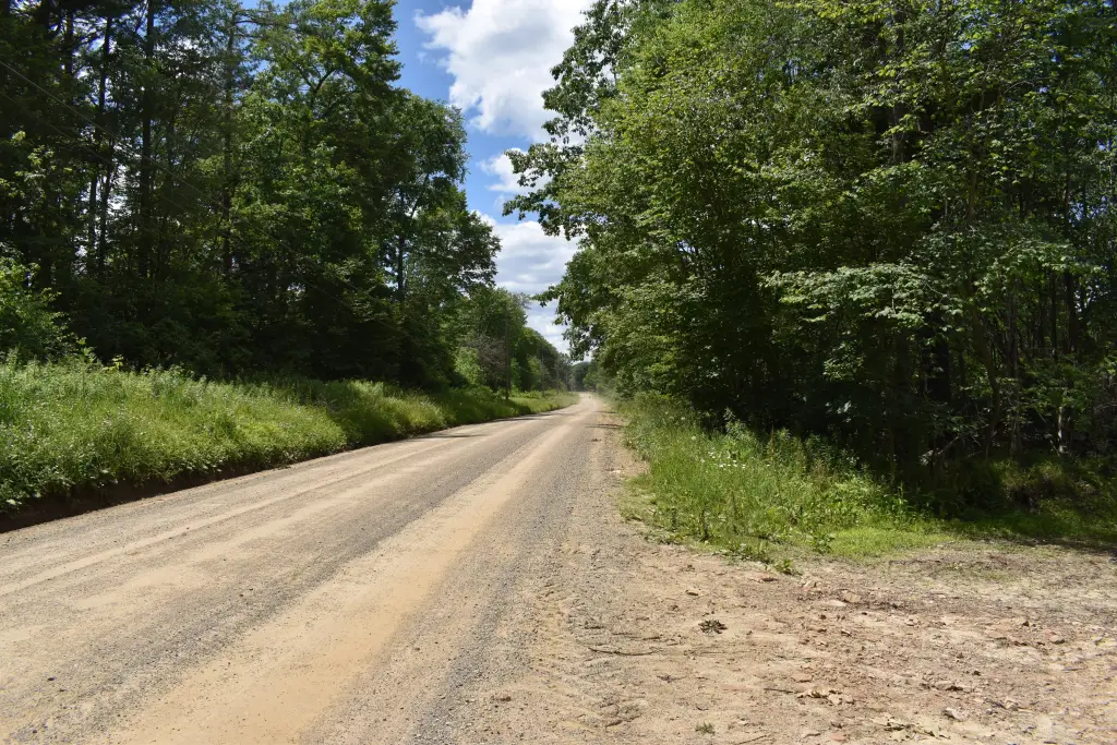 Picture 34