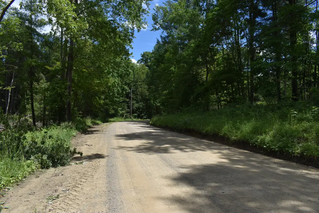 Picture 36