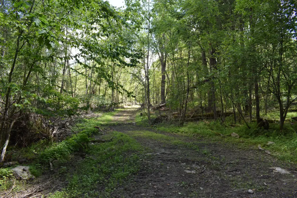 Picture 32