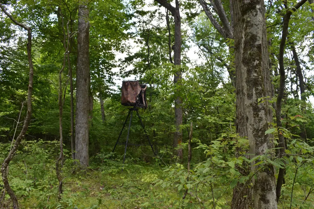 Picture 4