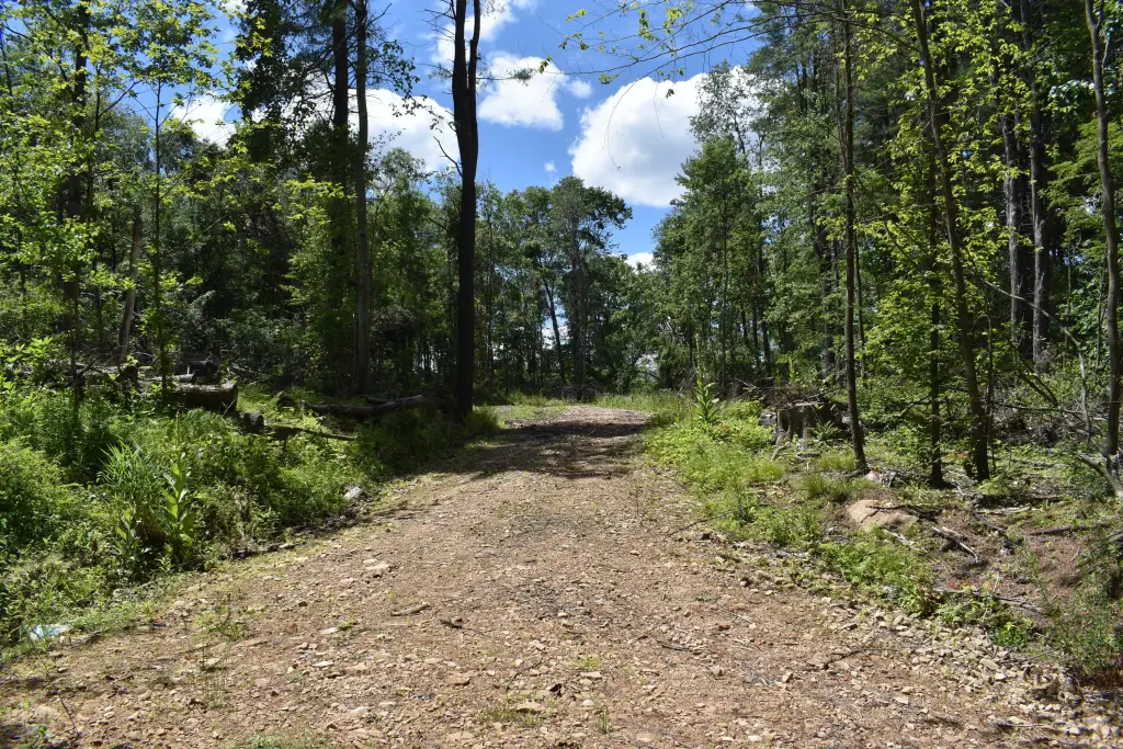 Picture 19