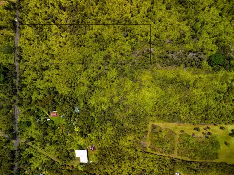 Forested Land in Hawaiian Acres
