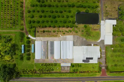 Turnkey Orchard Estate with Two Homes