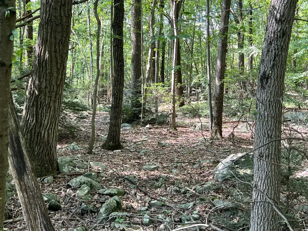 Picture 14