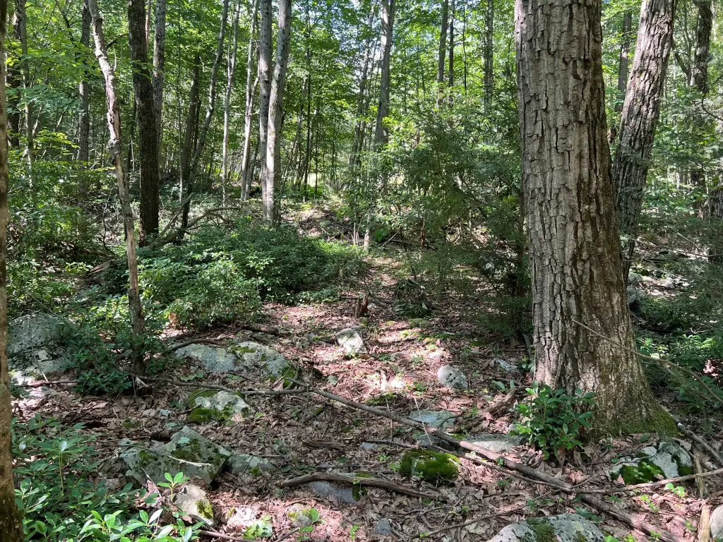 Picture 16