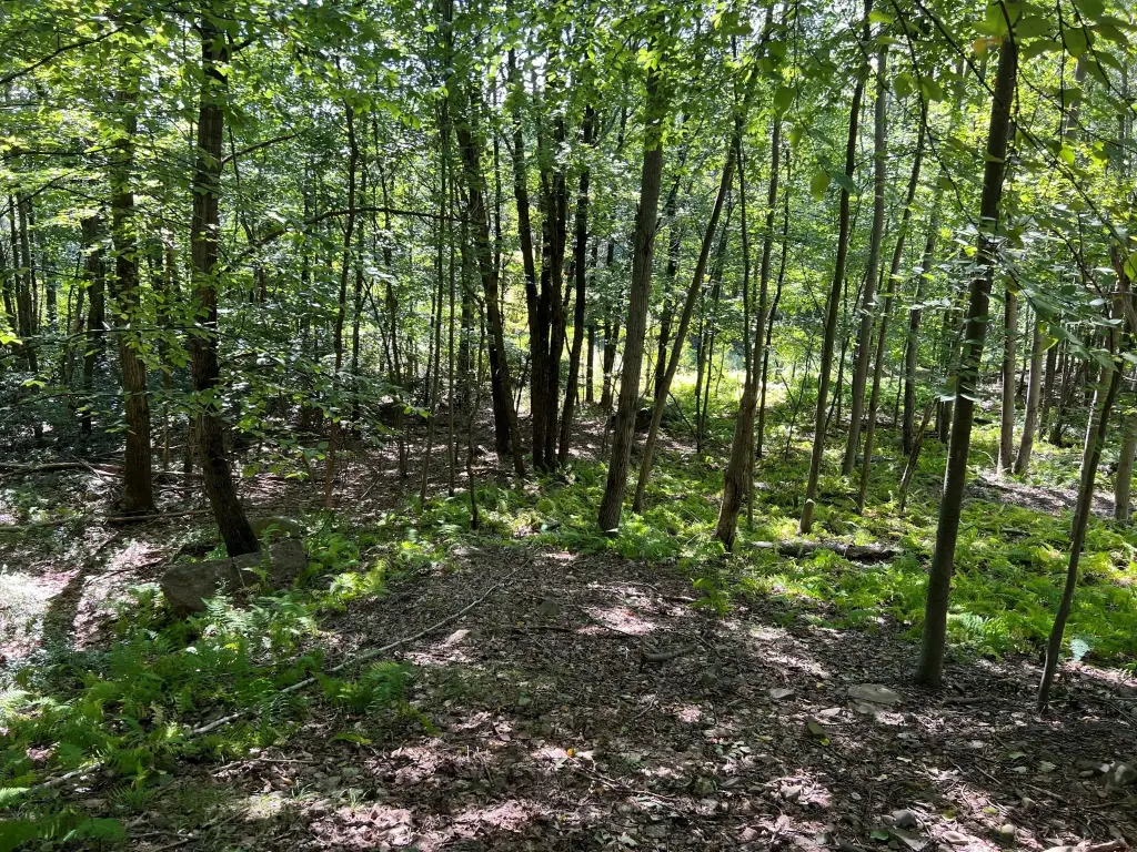 Picture 19