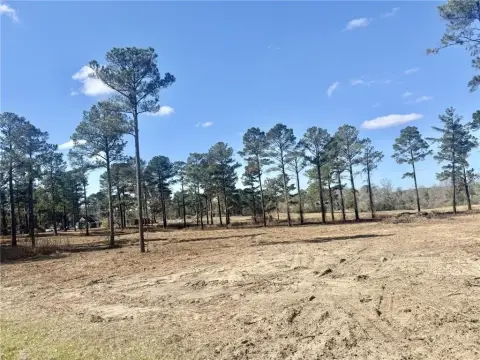 Level Lot in Beauregard