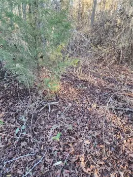 2.5 Acre Unrestricted Land