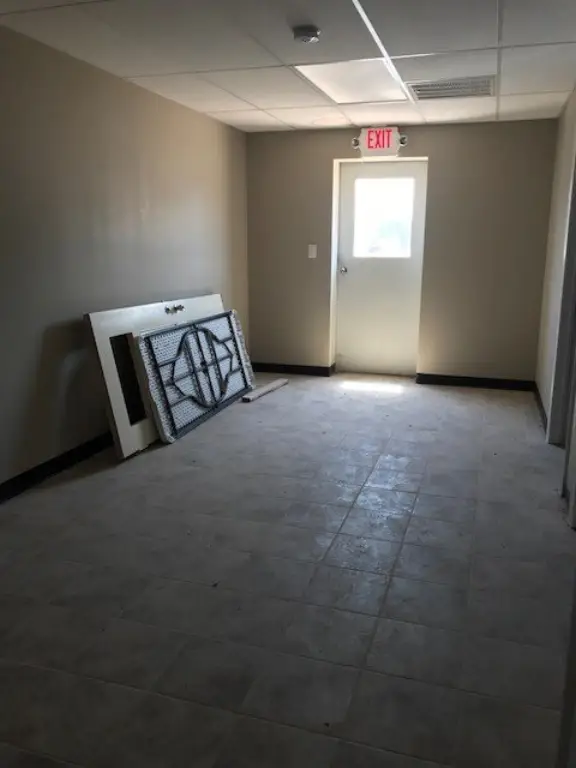 Picture 5