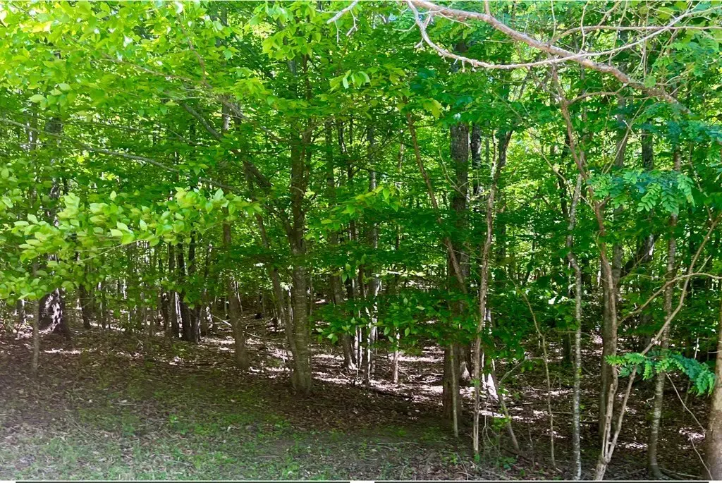 Picture 9