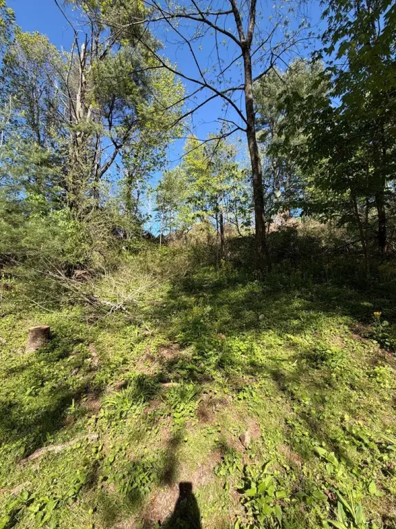 Picture 9