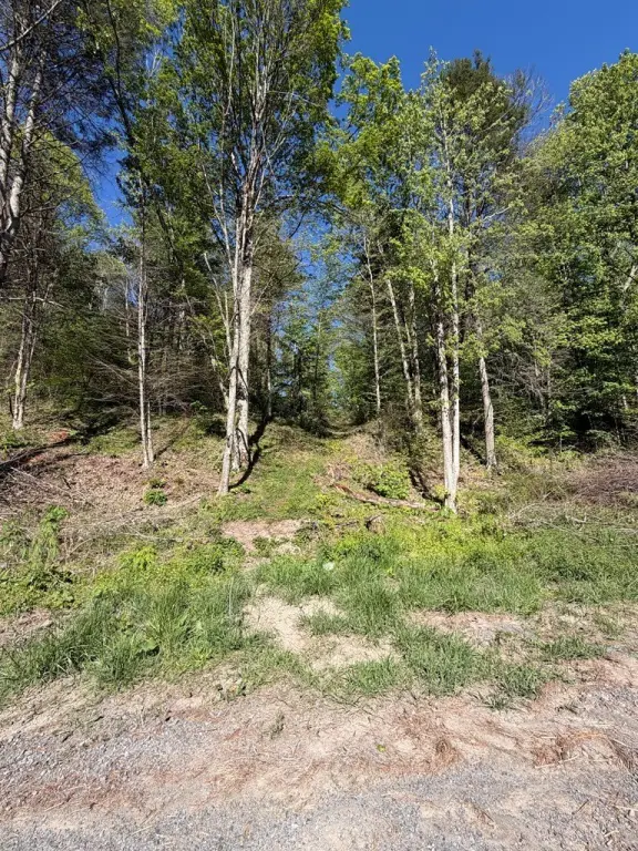Picture 15