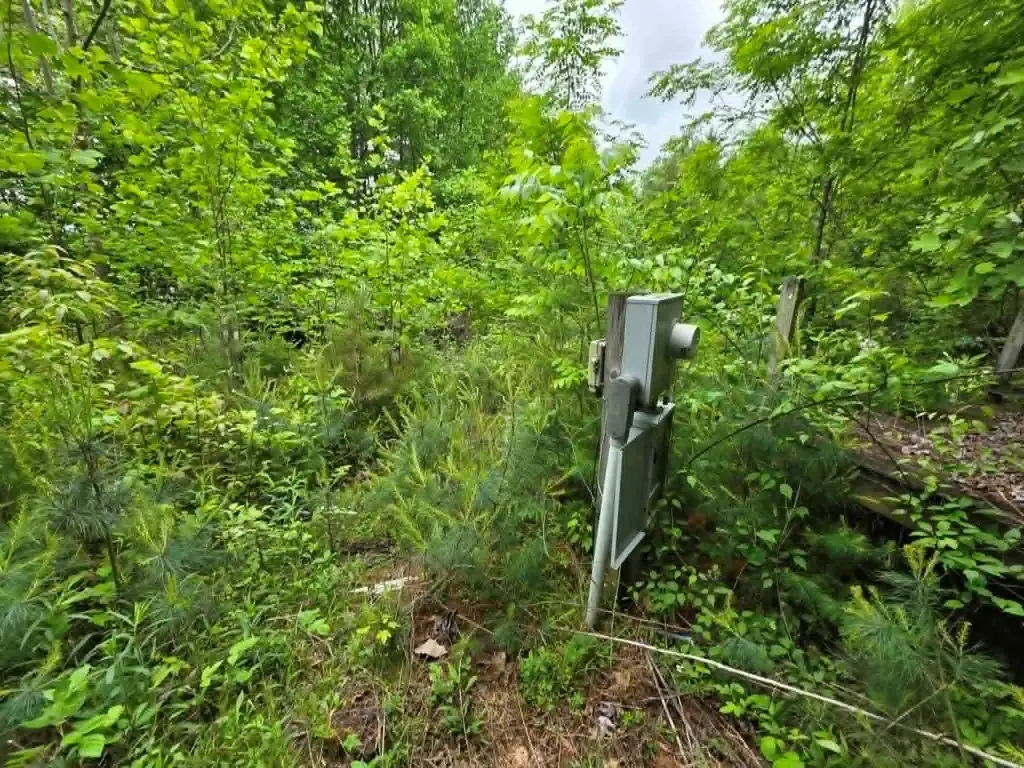 Picture 4
