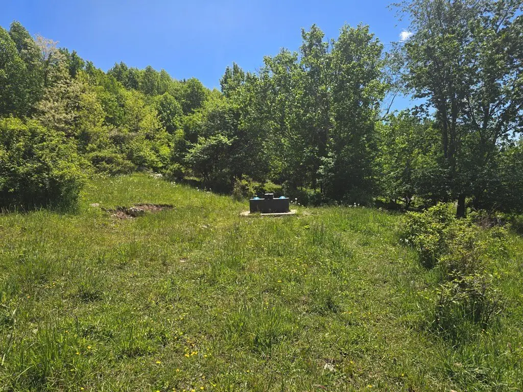 Picture 13
