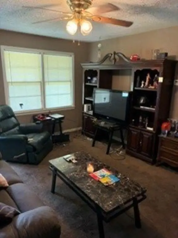 Picture 7