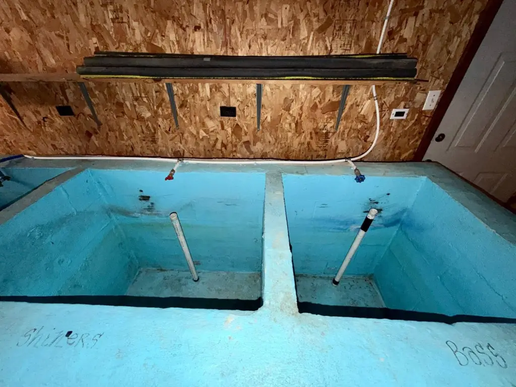 Picture 38