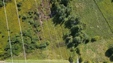 Partially Cleared Land on US Route