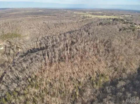 30 Acres Wooded Hunting Land