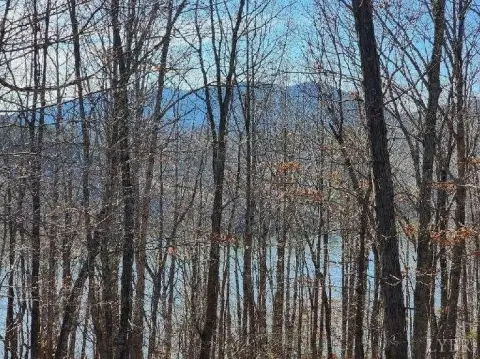 Waterfront Land in Eagle Pointe