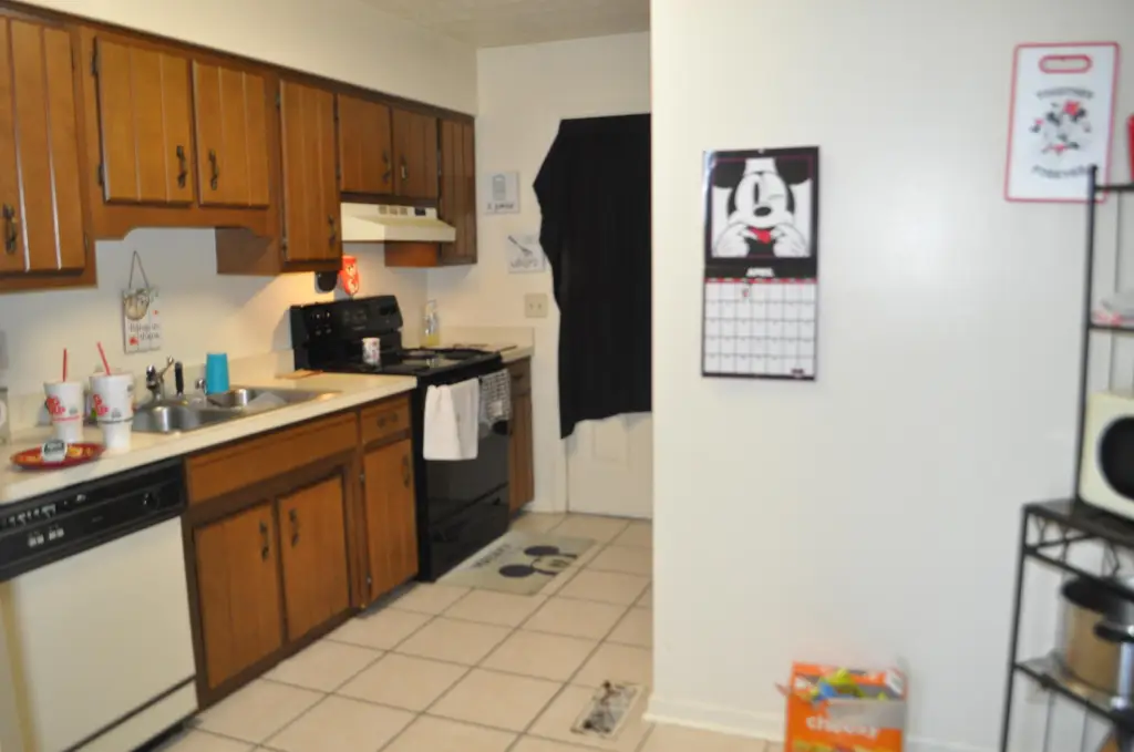 Picture 4
