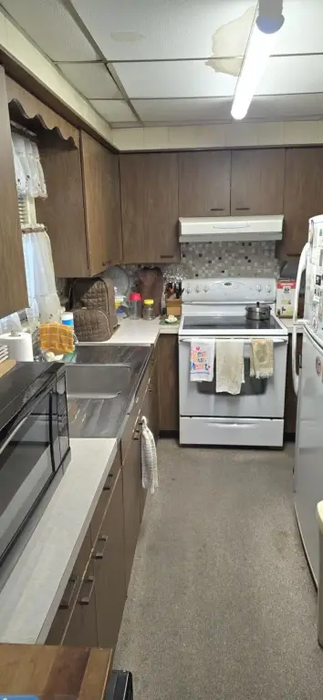 Picture 13